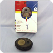 talking compass